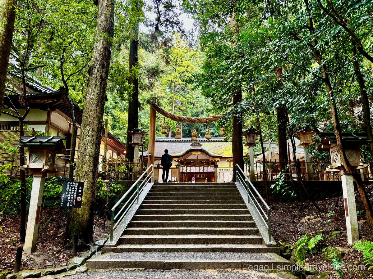 石段の上に注連縄のかかった鳥居と社殿。両脇に石灯籠と杉木立