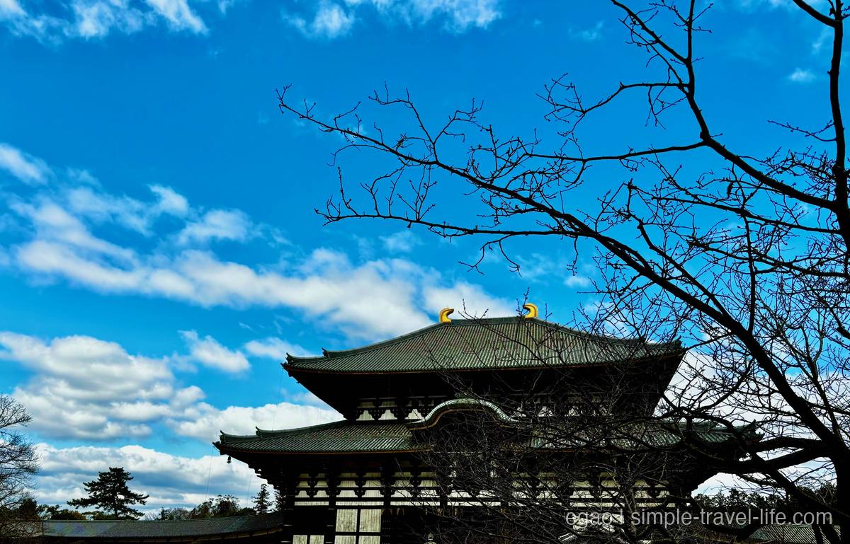 青空と枯れ枝の向こうに見える東大寺大仏殿の大屋根